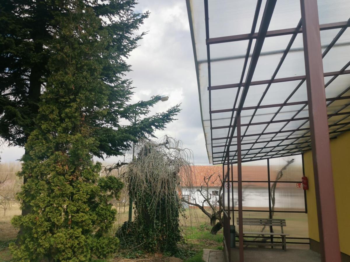 Apartament Podlovics Tanya Panzio Kemecse Zewnętrze zdjęcie